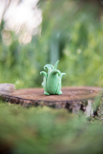 Aloe Pup Spore #14