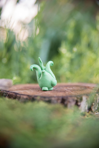 Aloe Pup Spore #14