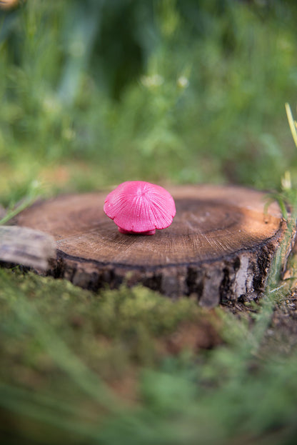 Red Mushroom Spore #12