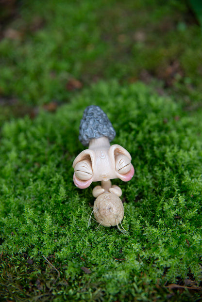 Morel Mushroom Mishling #020