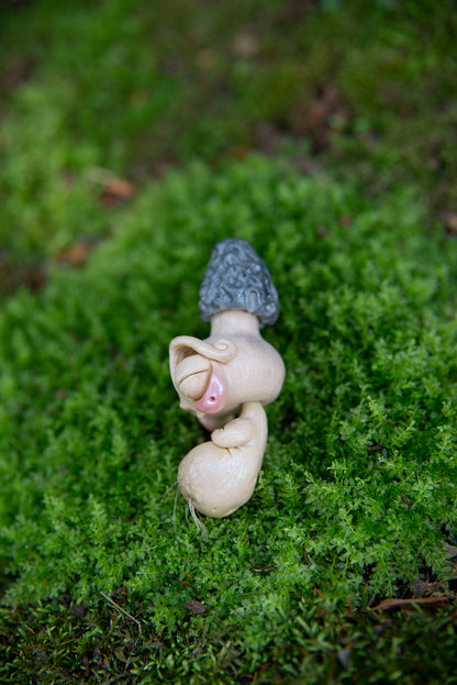 Morel Mushroom Mishling #020