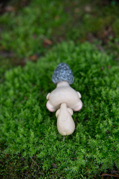 Morel Mushroom Mishling #020