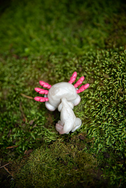 White & Pink Axolotl Mishling #029