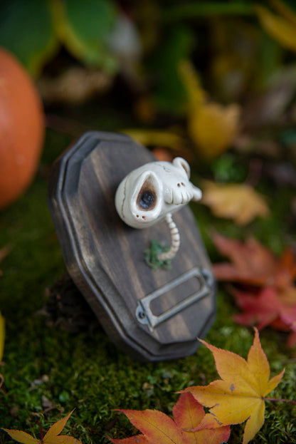 Aged Skull Mount #015/2021