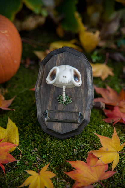 Aged Skull Mount #015/2021