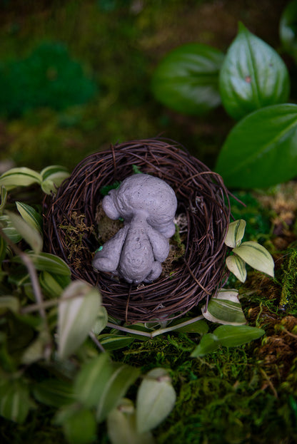 Mossy Rock Ent Mishling w/ Snail #019/2022