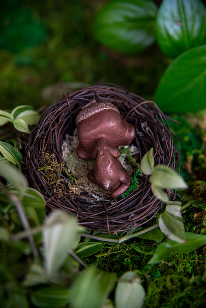 Acorn Mishling #020/2022