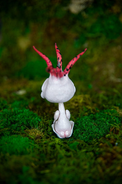 Devil's Fingers Stinkhorn Adult Mishroom #028/2022