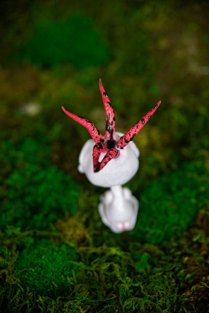 Devil's Fingers Stinkhorn Adult Mishroom #028/2022