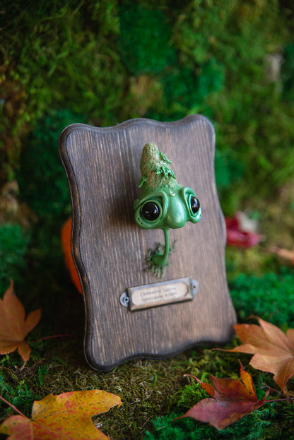 Sativa Specimen Mount #009