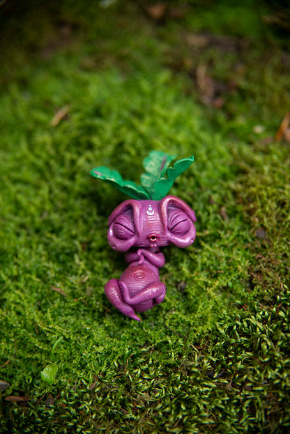 Beet Mandrake Mishling #031