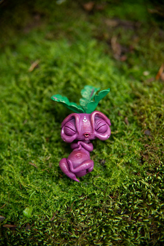 Beet Mandrake Mishling #031