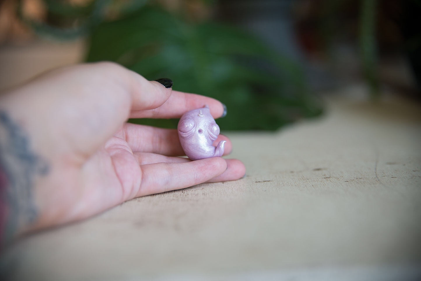 SALE! Purple Ghost Spore #22