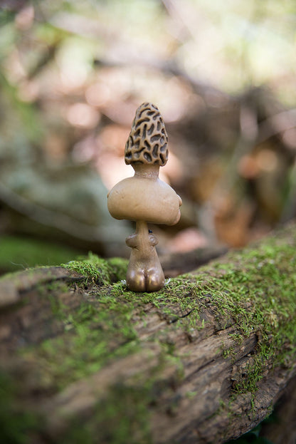 Morel Mishroom #158