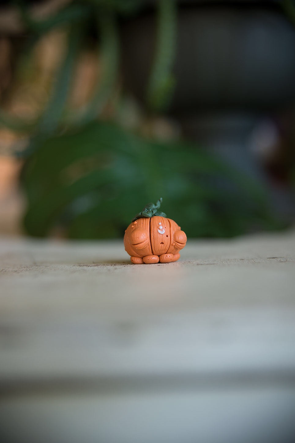 SALE! Pumpkin Spore #8