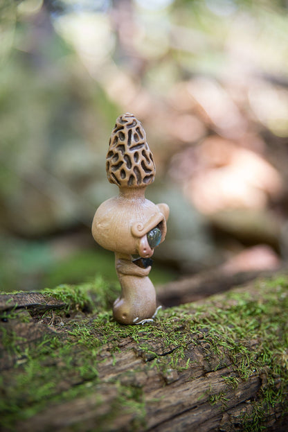 Morel Mishroom #158