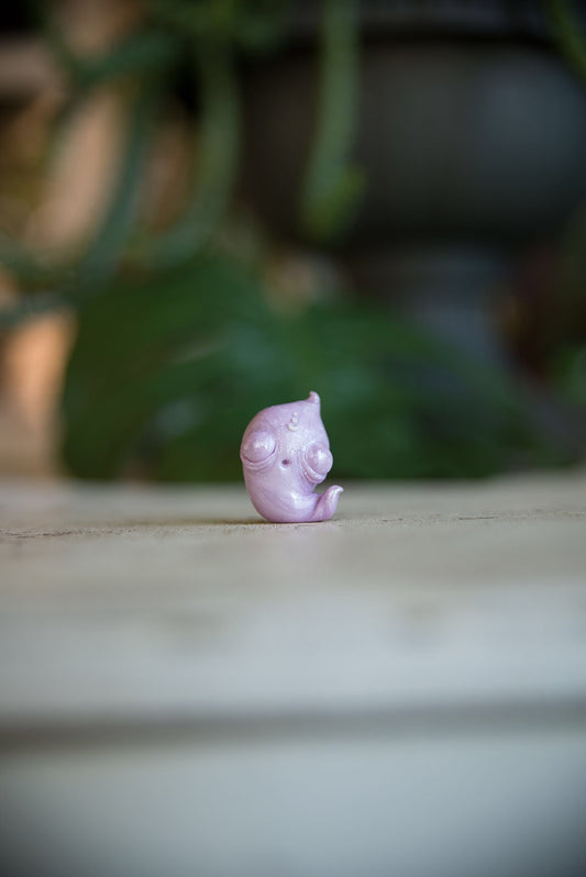 SALE! Purple Ghost Spore #22