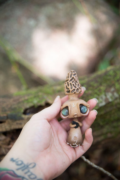 Morel Mishroom #158