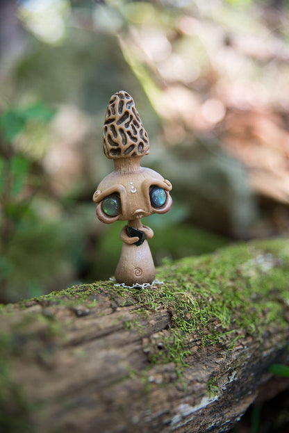 Morel Mishroom #158