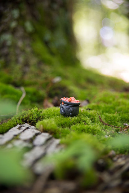 Black Cauldron w/ Orange Flower Potion Spore #53